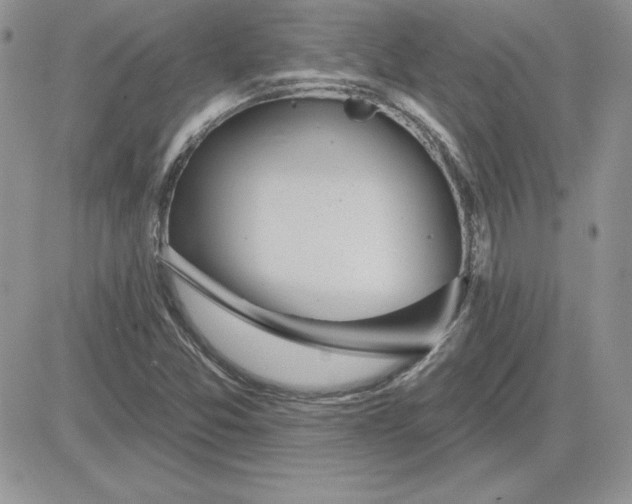 X0000081561357200701291139