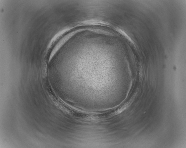 X0000081561358200701291139