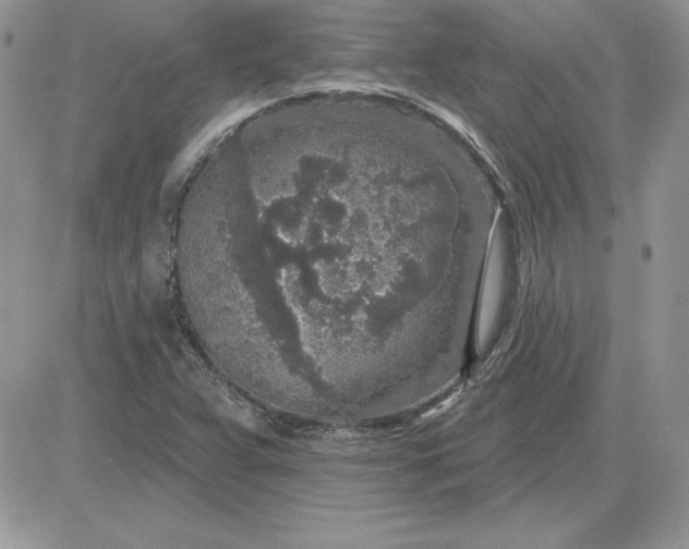 X0000081561359200701291139