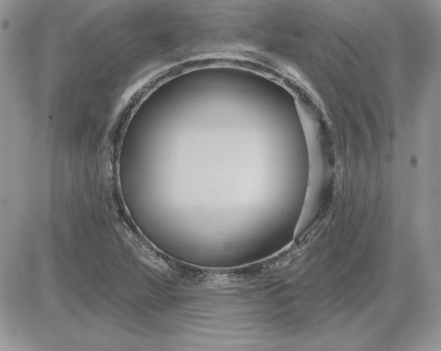 X0000081561360200701291139