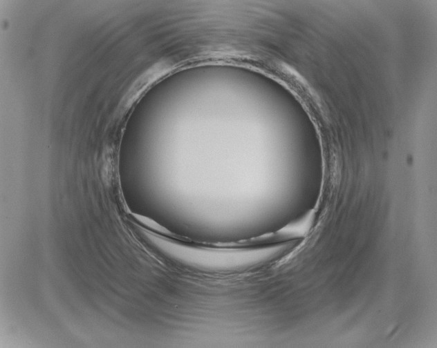 X0000081561361200701291139