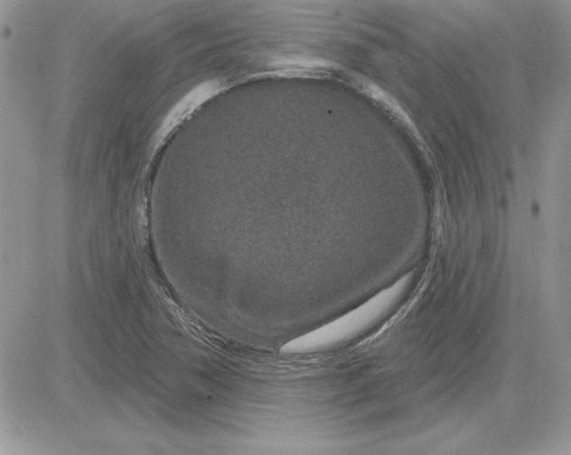 X0000081561362200701291139