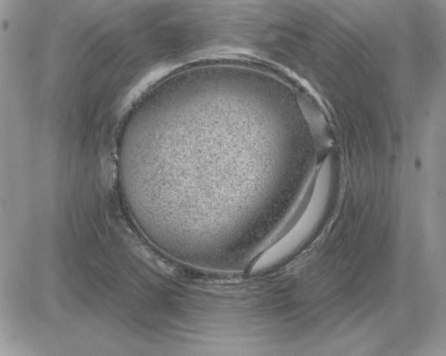 X0000081561363200701291139