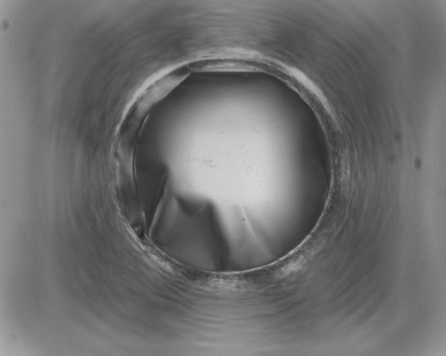 X0000081561364200701291139