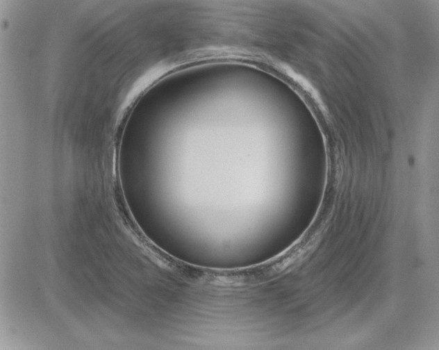 X0000081561365200701291139