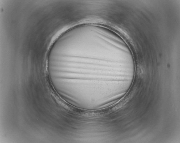 X0000081561366200701291139