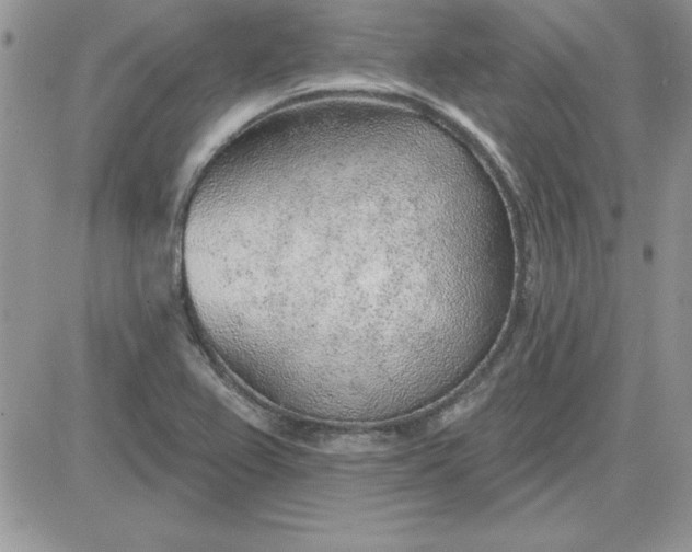 X0000081561367200701291139