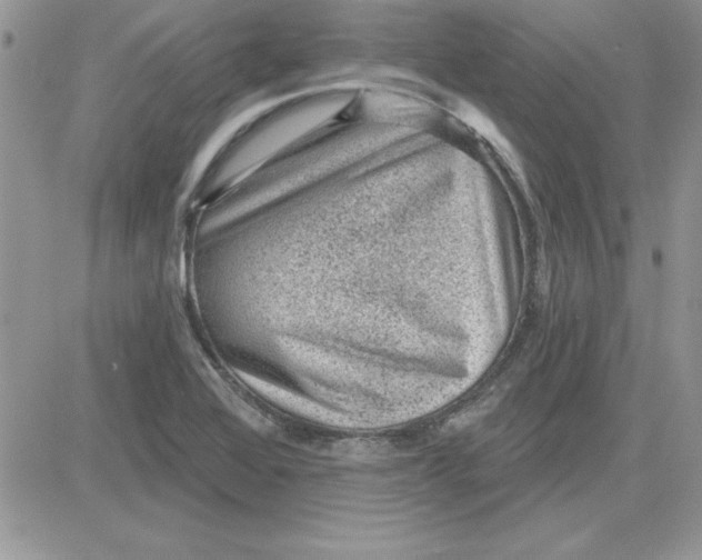 X0000081561368200701291139