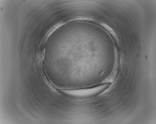 X0000081561369200701291139