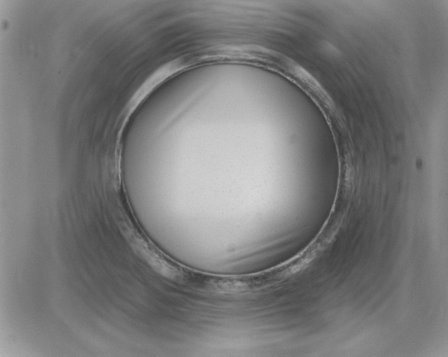 X0000081561370200701291139