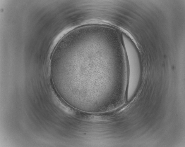 X0000081561371200701291139