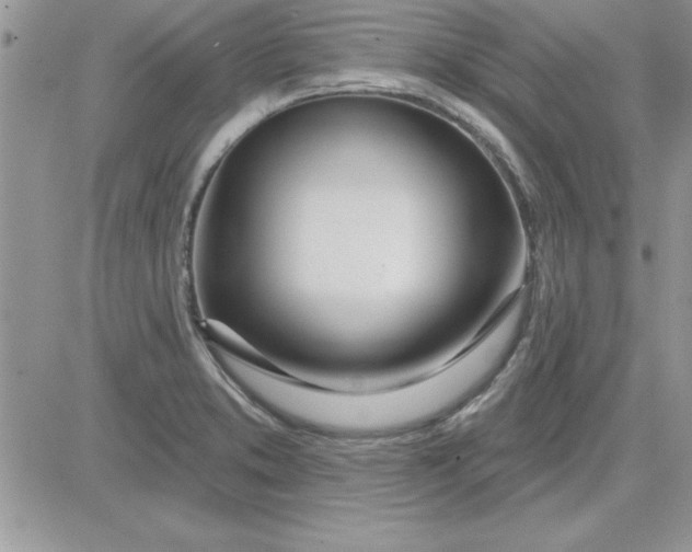 X0000081561373200701291139