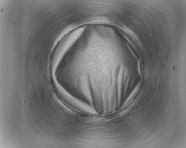 X0000081561374200701291139