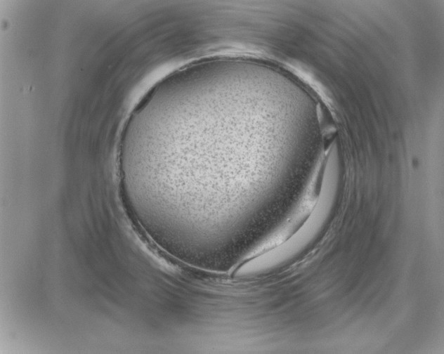 X0000081561375200701291139