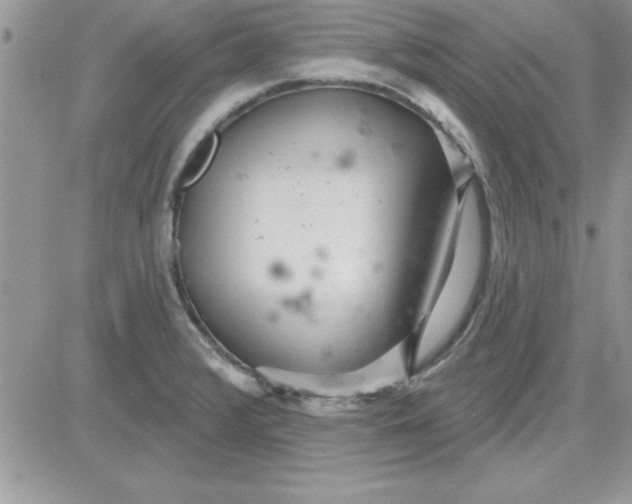 X0000081561376200701291139