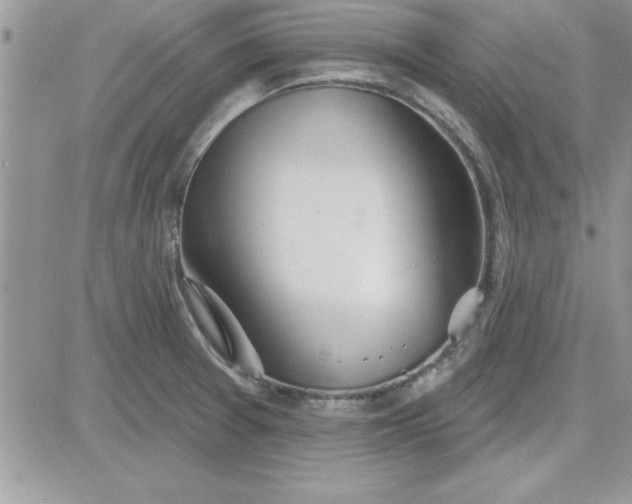 X0000081561377200701291139