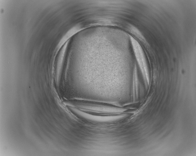 X0000081561378200701291139