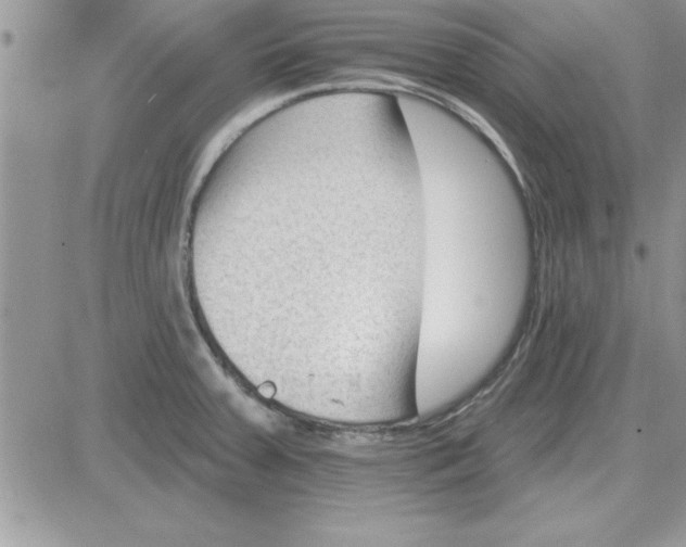 X0000081561379200701291139