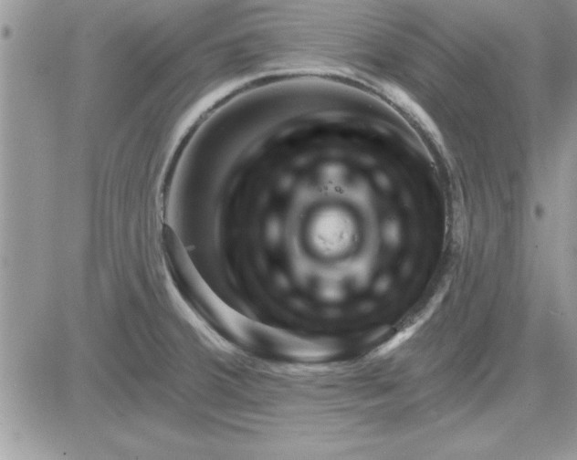 X0000081561380200701291139