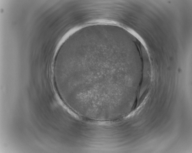 X0000081561381200701291139