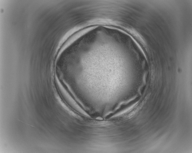 X0000081561382200701291139