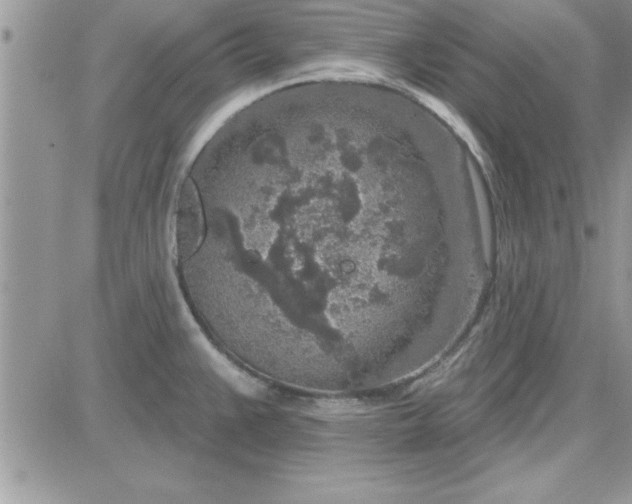 X0000081561383200701291139