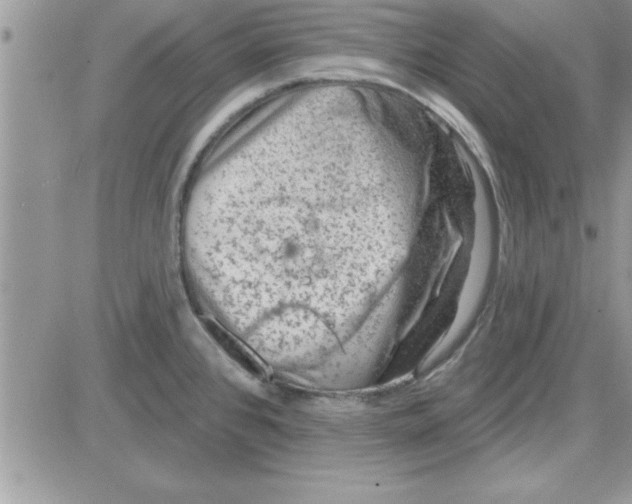 X0000081561384200701291139