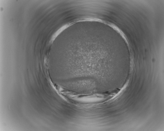 X0000081561385200701291139