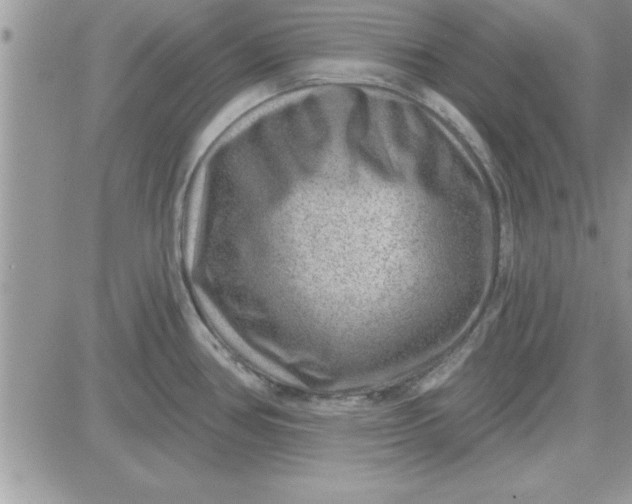 X0000081561386200701291139