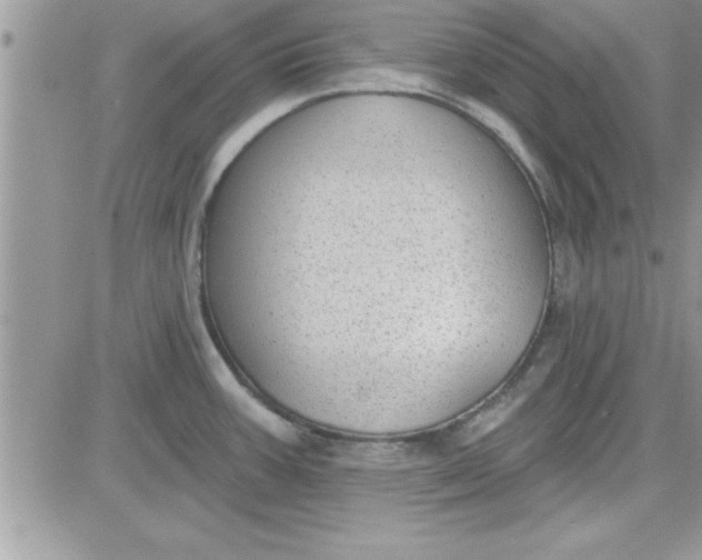 X0000081561387200701291139