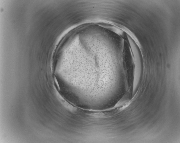 X0000081561388200701291139