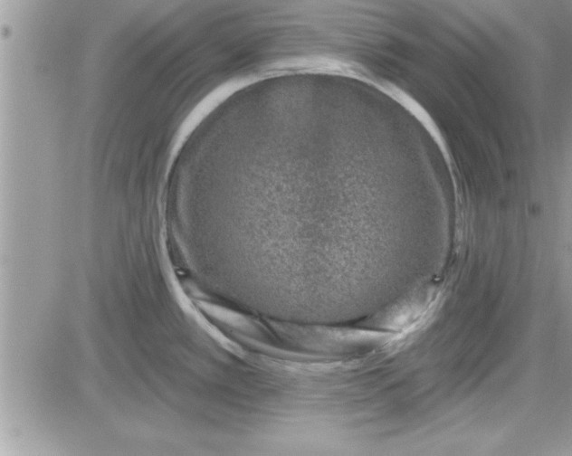 X0000081561389200701291139