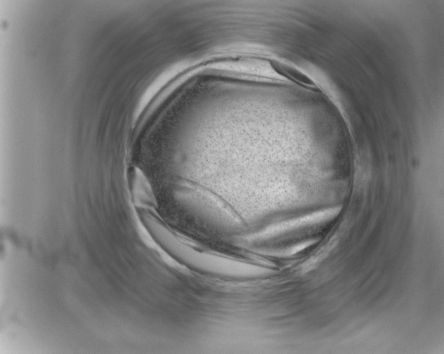 X0000081561390200701291138