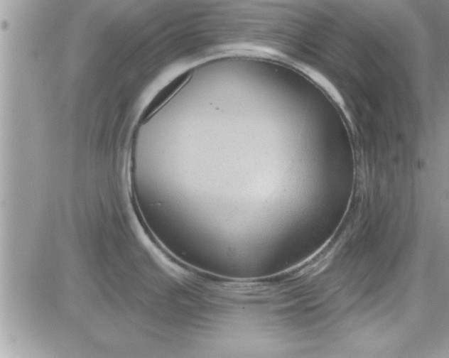 X0000081561391200701291138