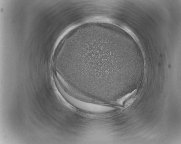 X0000081561392200701291138