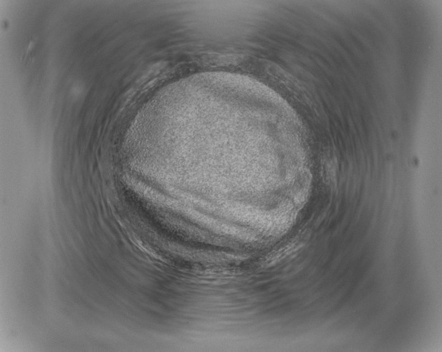 X0000081561393200701291138