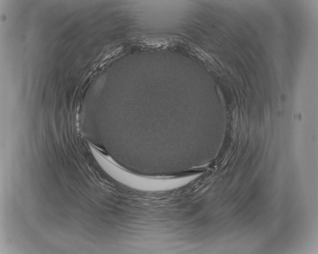 X0000081561394200701291138