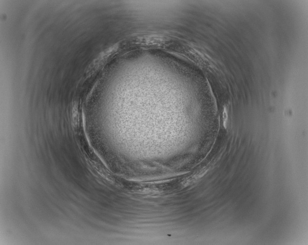 X0000081561395200701291138