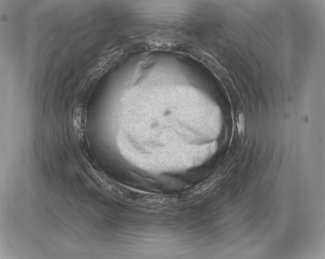 X0000081561396200701291138