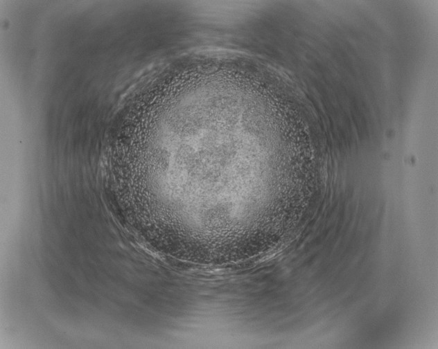 X0000081561397200701291138