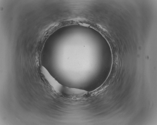 X0000081561398200701291138