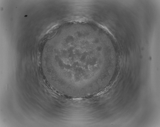 X0000081561399200701291138