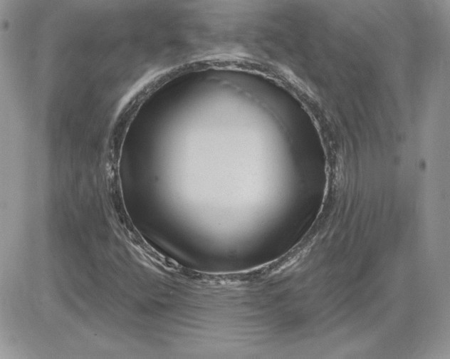 X0000081561400200701291138