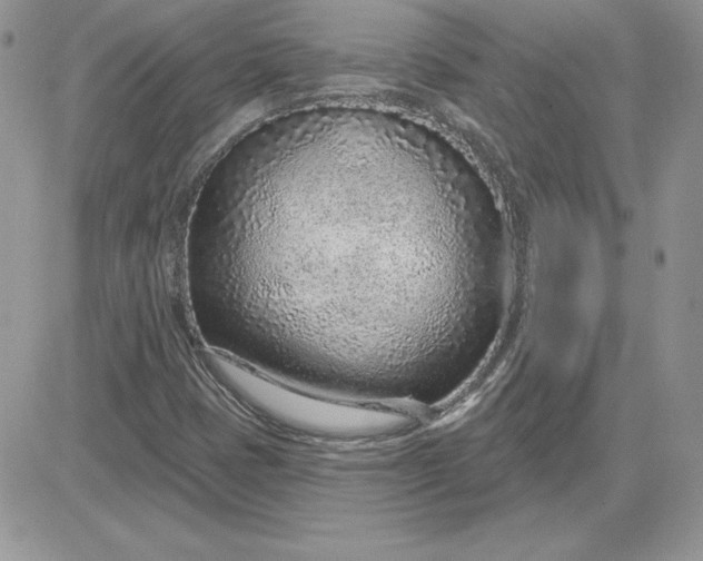 X0000081561401200701291138