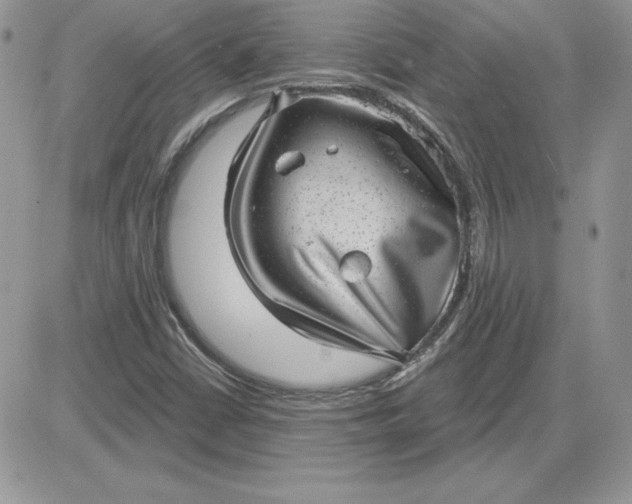 X0000081561402200701291138