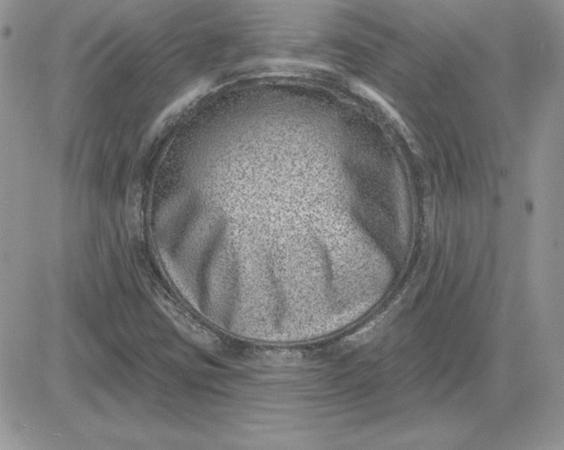 X0000081561403200701291138