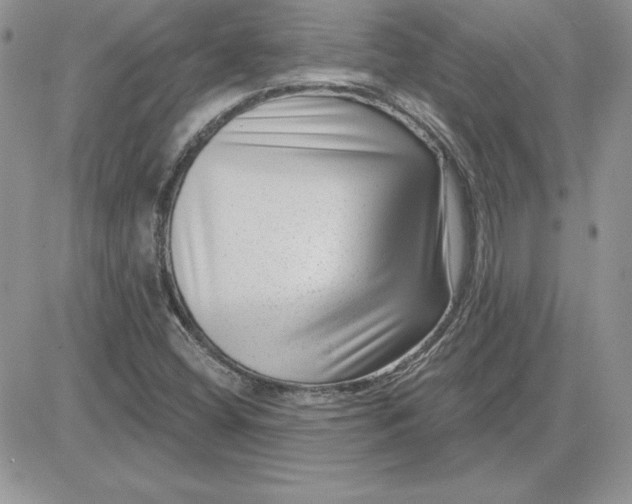 X0000081561404200701291138