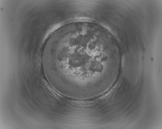 X0000081561405200701291138