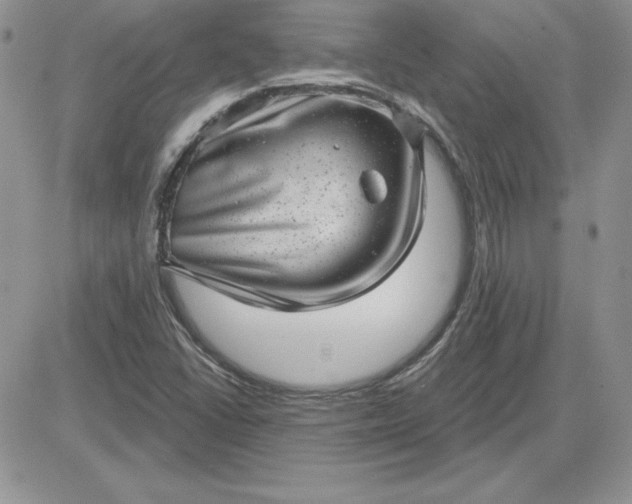 X0000081561406200701291138