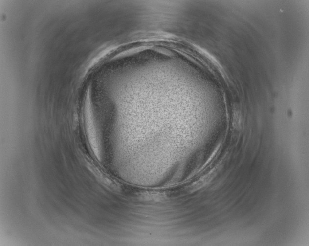 X0000081561407200701291138